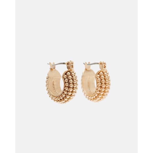 Allsaints Australia Womens Sinead Ball Small Hoop Earring Brass AU85-659